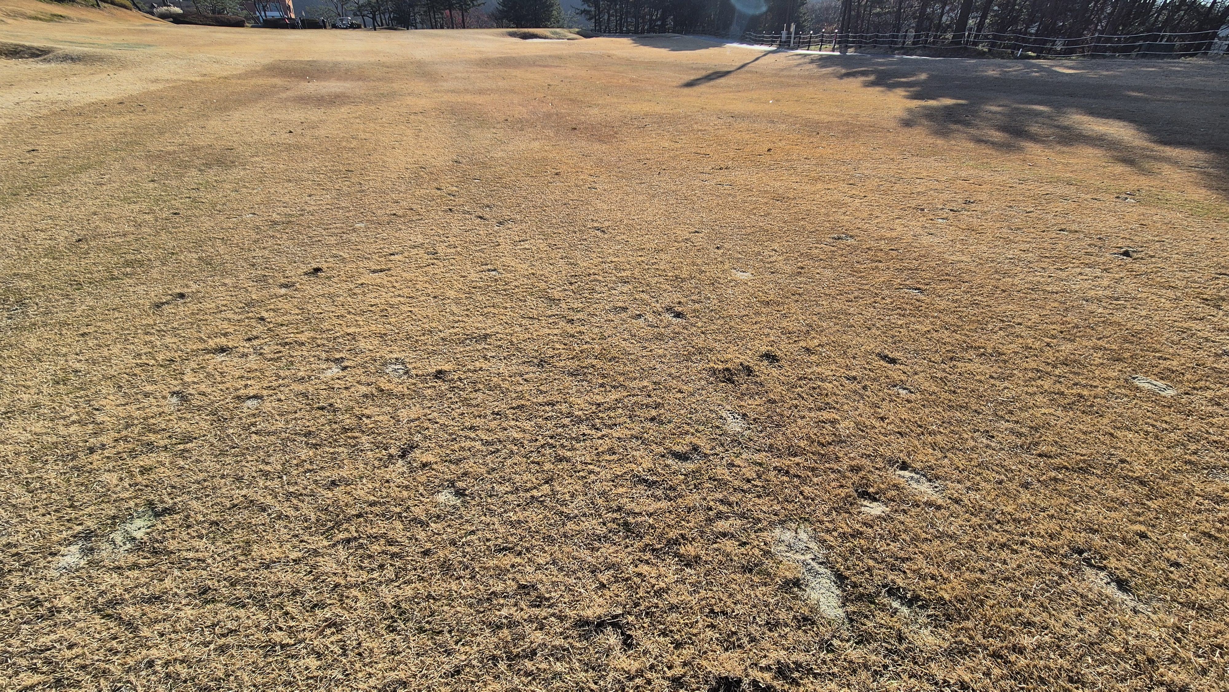 88cc 서코스 라운드 코스관리상태