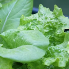 천식에 좋은 음식 영양제 식단