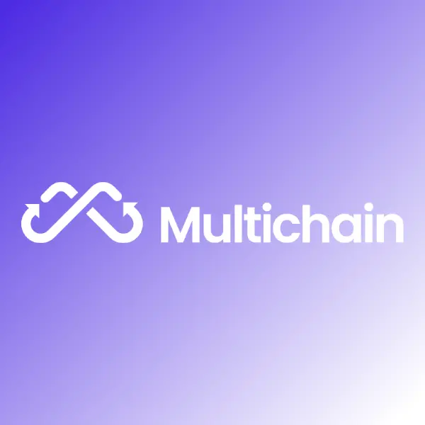 Multichain-코인-회사
