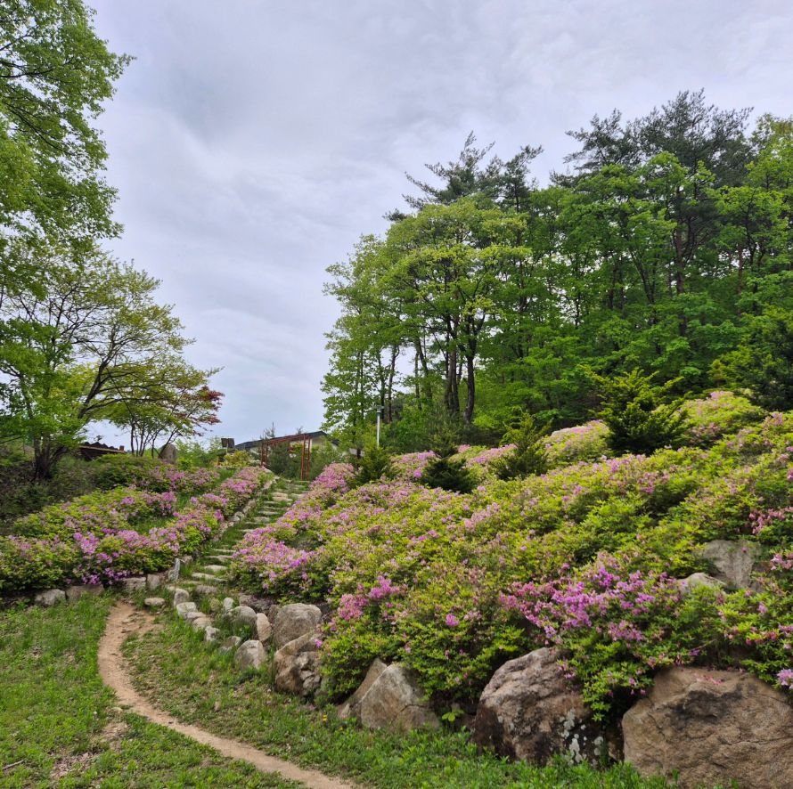 대야산자연휴양림