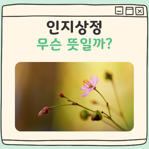 인지상정 뜻 대표 이미지