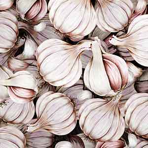 머리-비듬-없애는-마늘-헤어팩