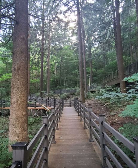 덕유산자연휴향림