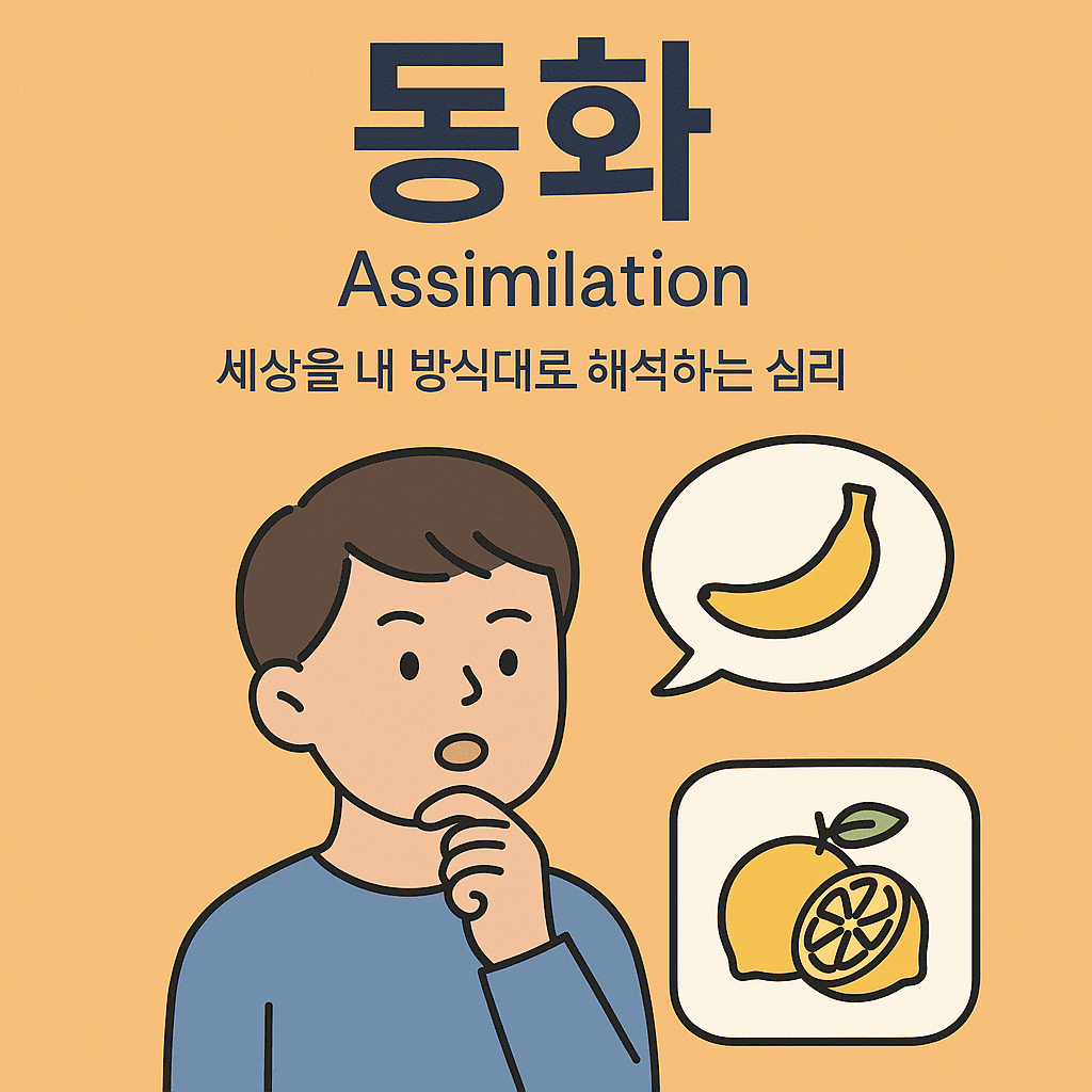 동화(Assimilation), 세상을 내 방식대로 해석하는 심리