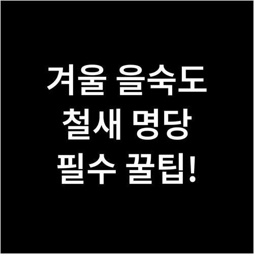 부산 강서구 겨울 가볼만한곳 을숙도 ..