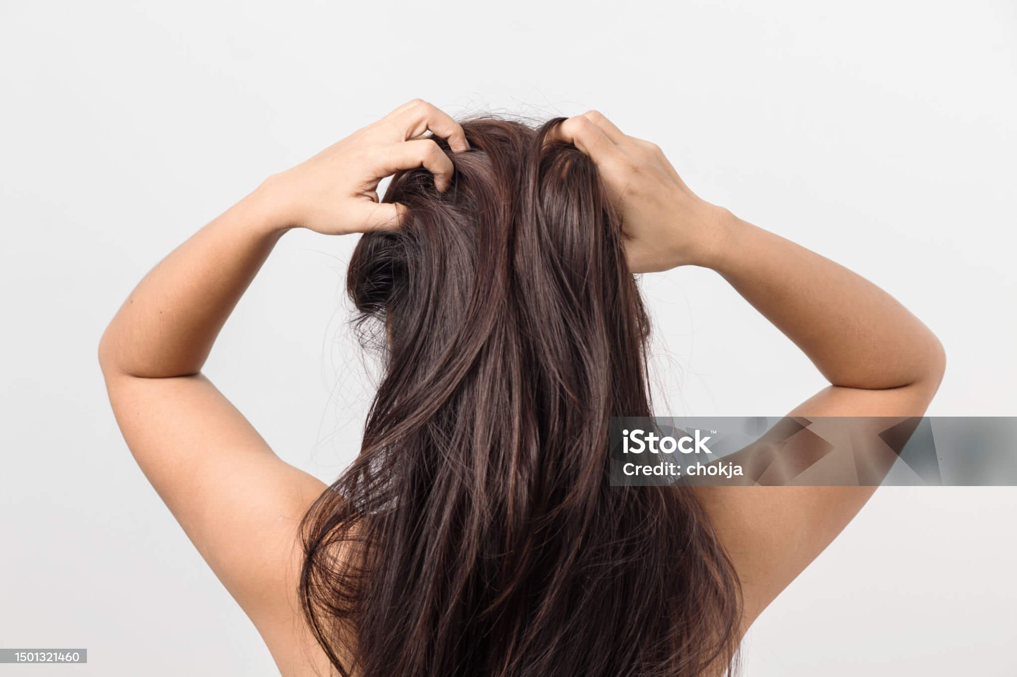 두피가 늙으면 모발도 늙는다: 당신 두피 나이를 꼭 체크하세요! 탈모