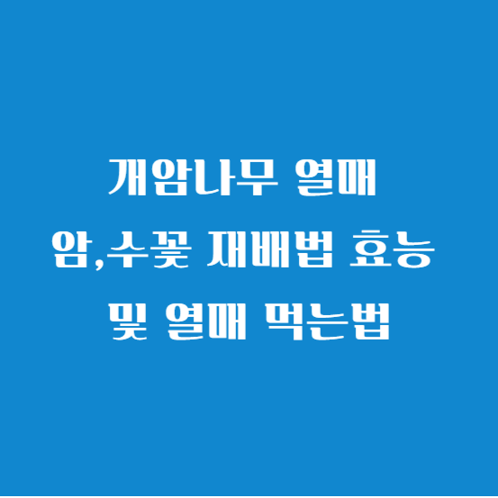 개암나무 열매 암,수꽃 재배법 효능 및 열매 먹는법
