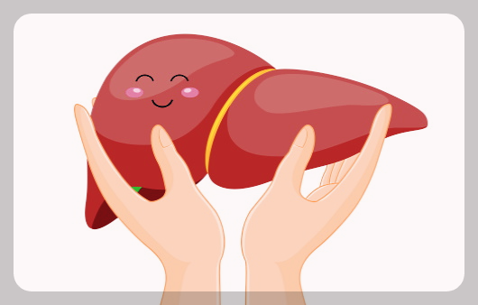 아보카도-효능-및-부작용