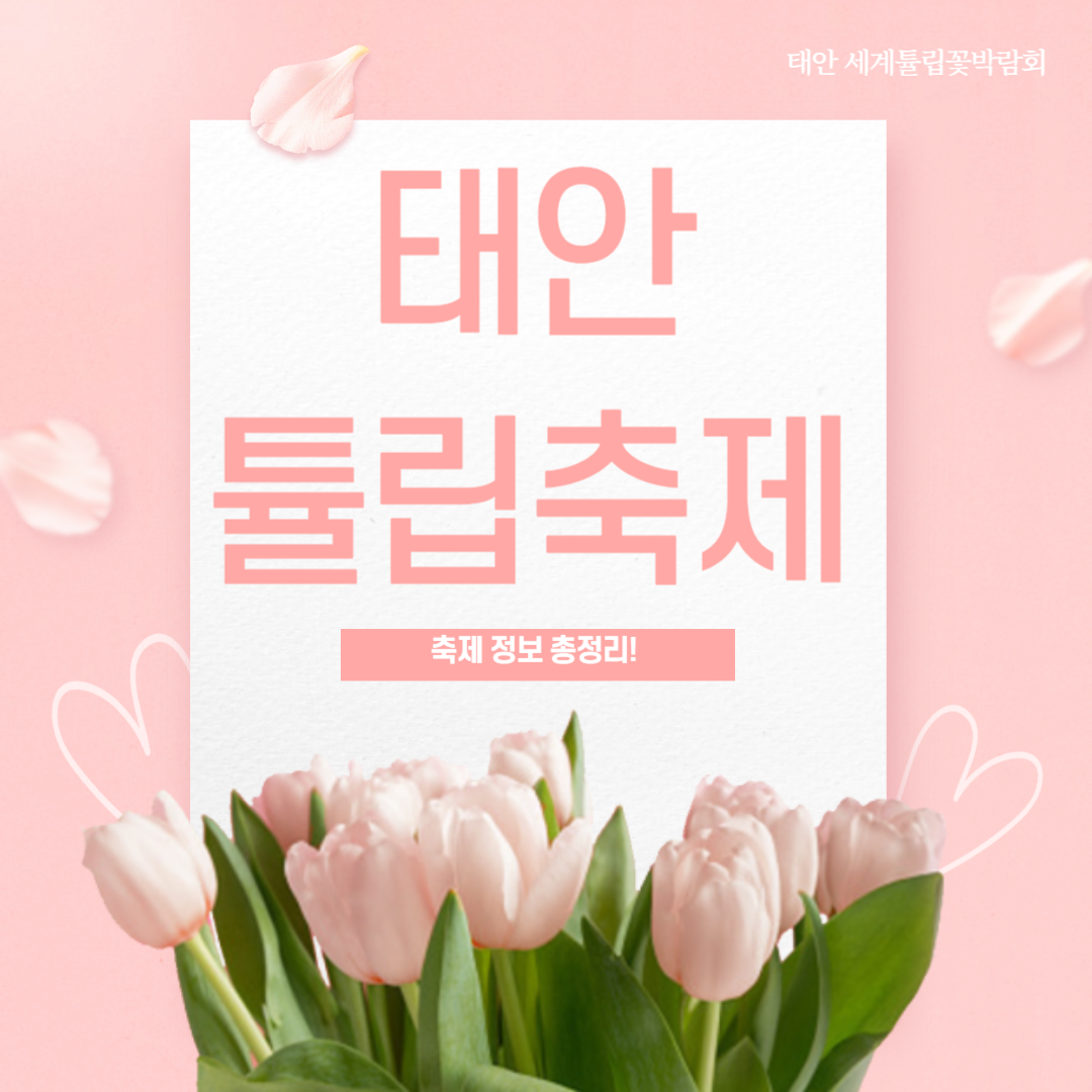 태안 튤립축제(태안 세계튤립꽃박람회) 정보 총정리