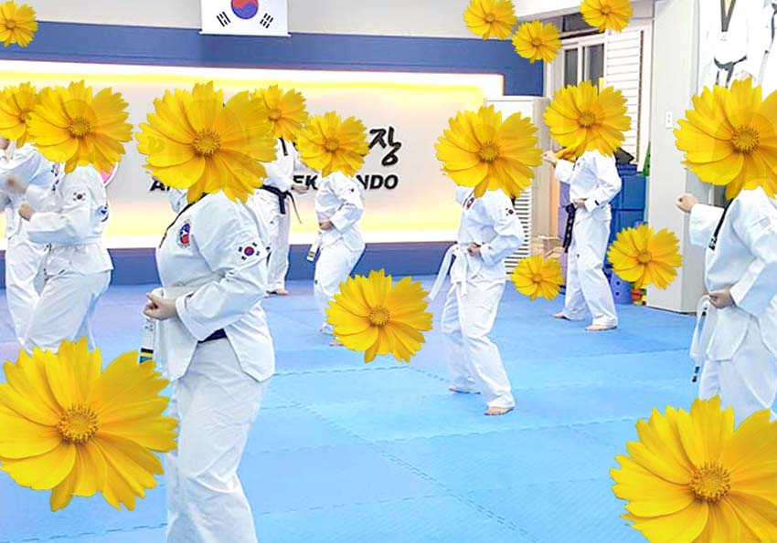 금계국 꽃보다 태권도