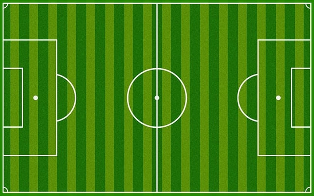 2024 코파아메리카 일정 조별리그 무료 중계