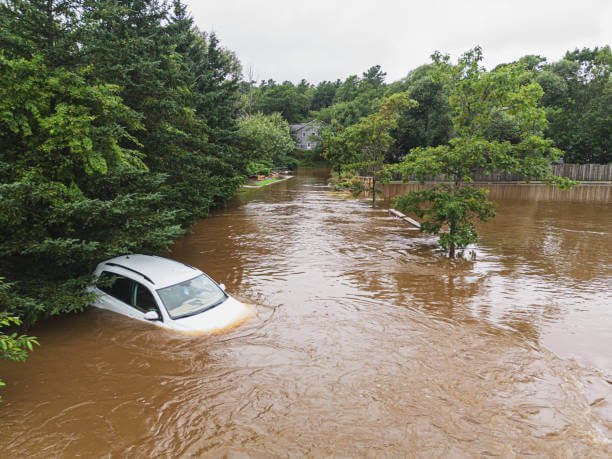 침수차 식별 가이드