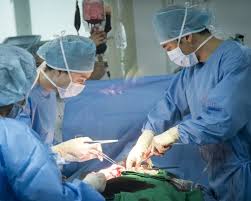 쓸개 제거 수술