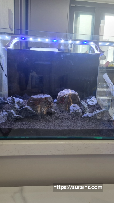 수초어항 꾸미기 준비물 레이아웃 만들기 정보