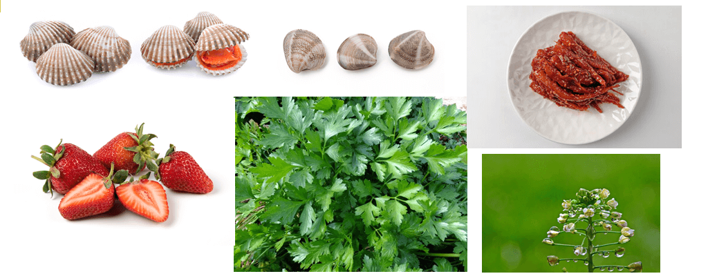 3월(봄) 제철음식 TOP10 해산물,과일,채소편