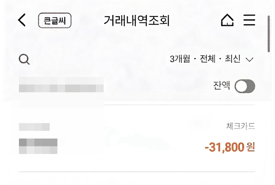 비렌느 스팟엑스 가격 영수증 예시