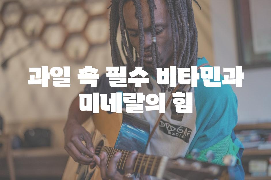 과일 속 필수 비타민과 미네랄의 힘