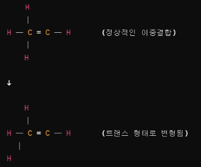트랜스 지방