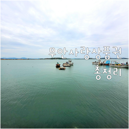 2025 무안사랑상품권: 지역 경제 ..