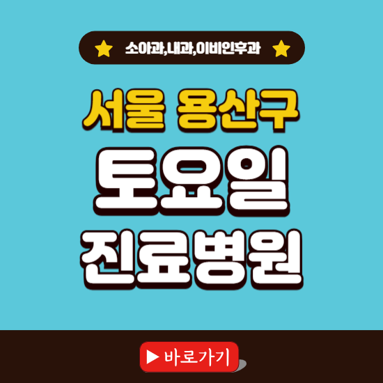 서울 용산구 토요일 진료 병원 찾기 ❘ 주말 문여는 소아과, 내과, 이비인후과 리스트