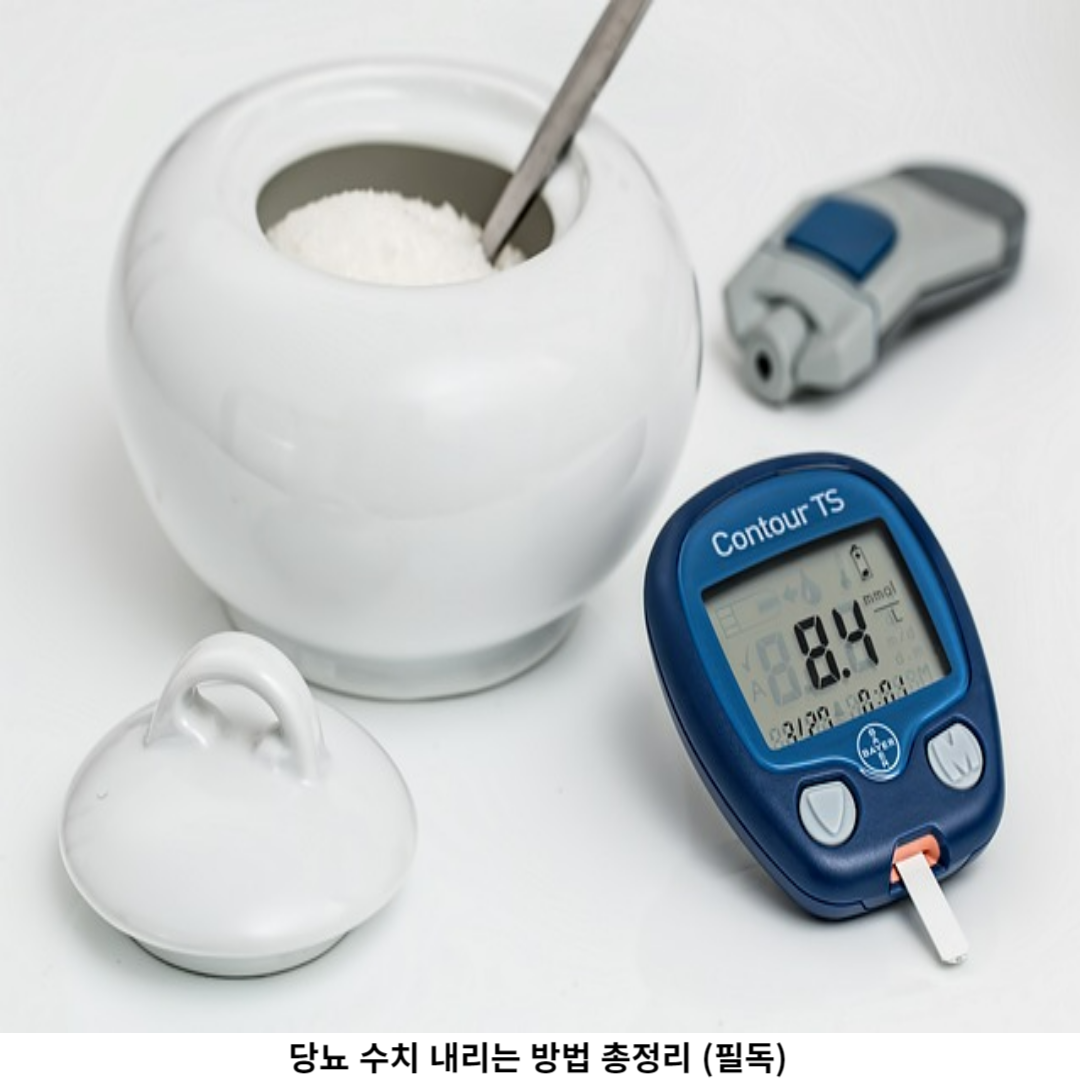 균형 잡힌 식습관