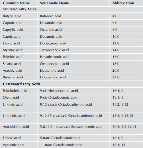 지방산-종류-이름-표