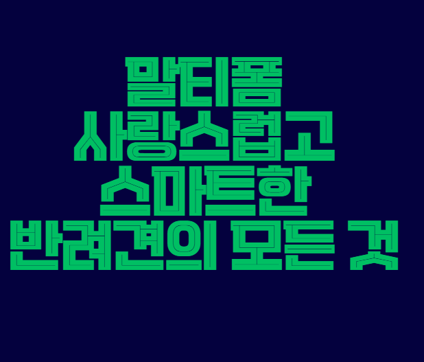 말티폼