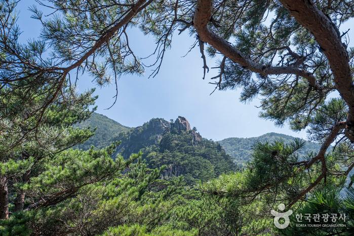 두타산 무릉계곡 베틀바위 청옥산 쌍폭포 트레킹 인생샷 사계절매력 포토스팟 물곰탕 오징어회 곤드레밥