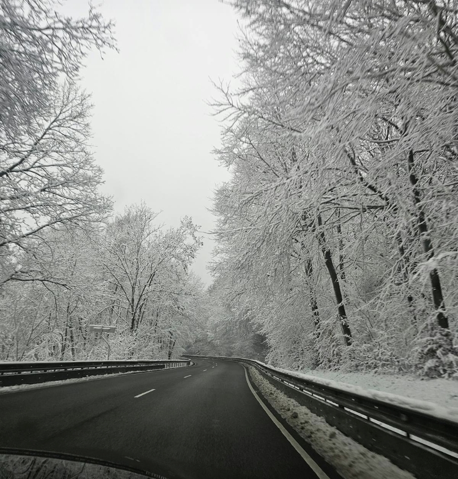 태백산 축제｜공식 일정&middot;주차&middot;체험팁&middot;무료 이벤트