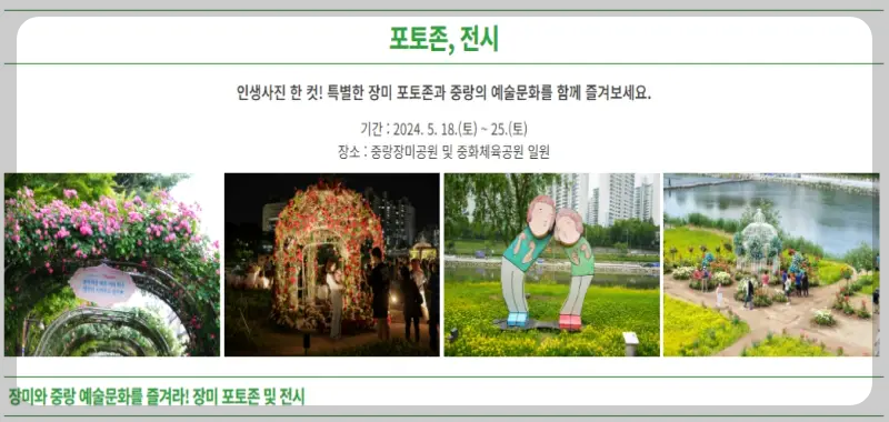 중랑 서울 장미축제_13