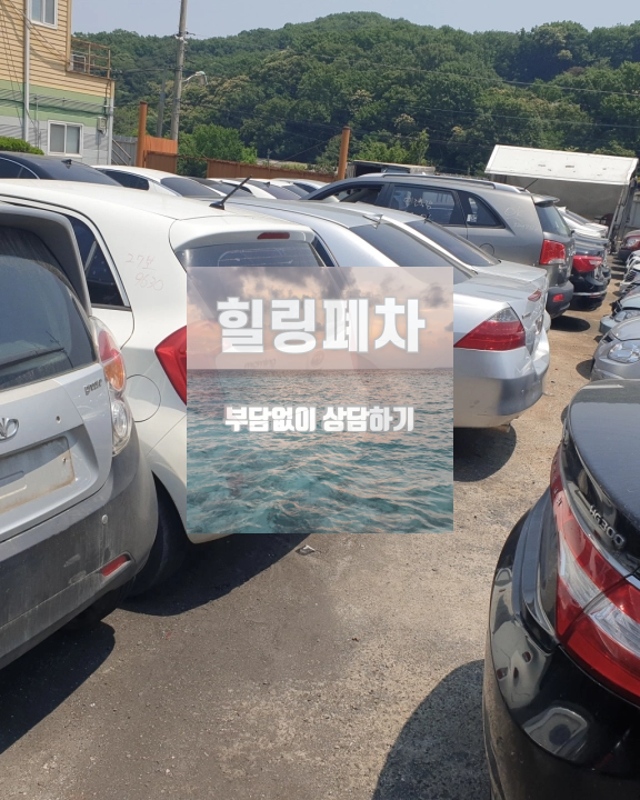 방치 차량 영치차폐차 행정 연결 확인