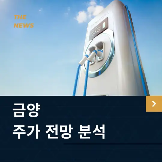 금양 주가 전망 및 분석