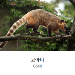 네이처파크-스윗윈터-페스티벌-가면-안-되는-이유