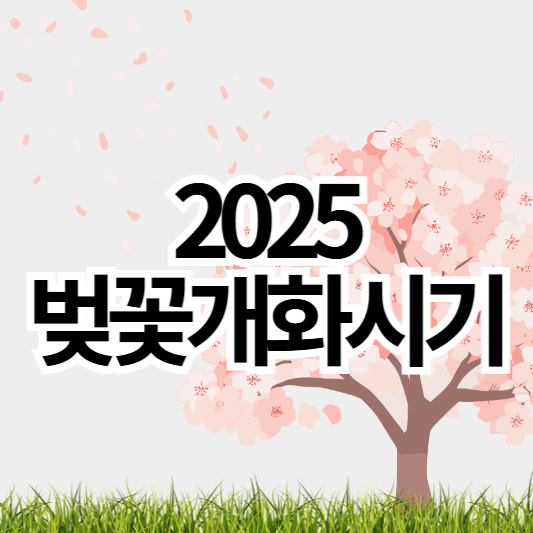 2025벚꽃개화시기_썸네일