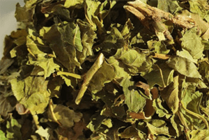 고혈압에 좋은 차13