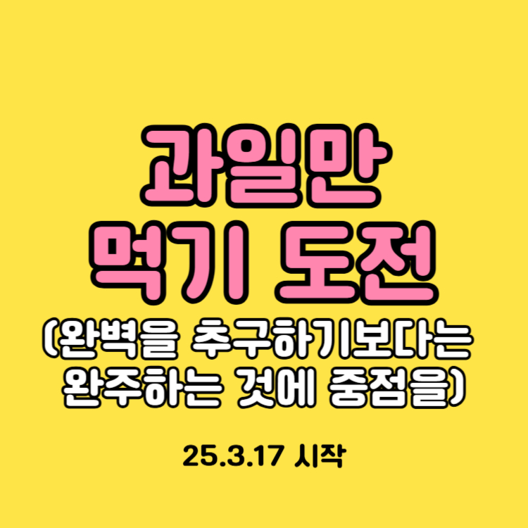 과일식 도전! (완벽을 추구하기보다는 완주하는 것에 중점을)