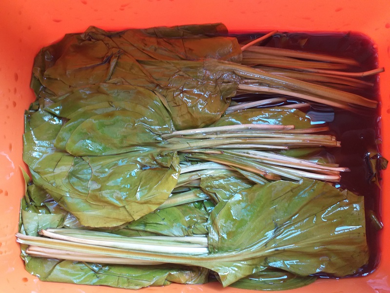 산마늘, 명이나물 장아찌