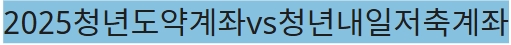 2025청년도약계좌vs청년내일저축계좌비교 어떤게 나에게 유리할까?