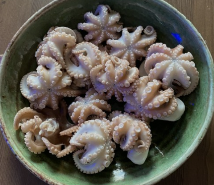 3월에 먹으면 좋은 제철 음식(봄철 음식) - 쭈꾸미편 (효능&amp;#44; 쭈꾸미가 들어가는 음식)