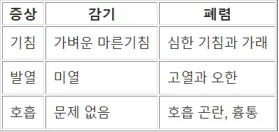 감기_폐렴_구분표