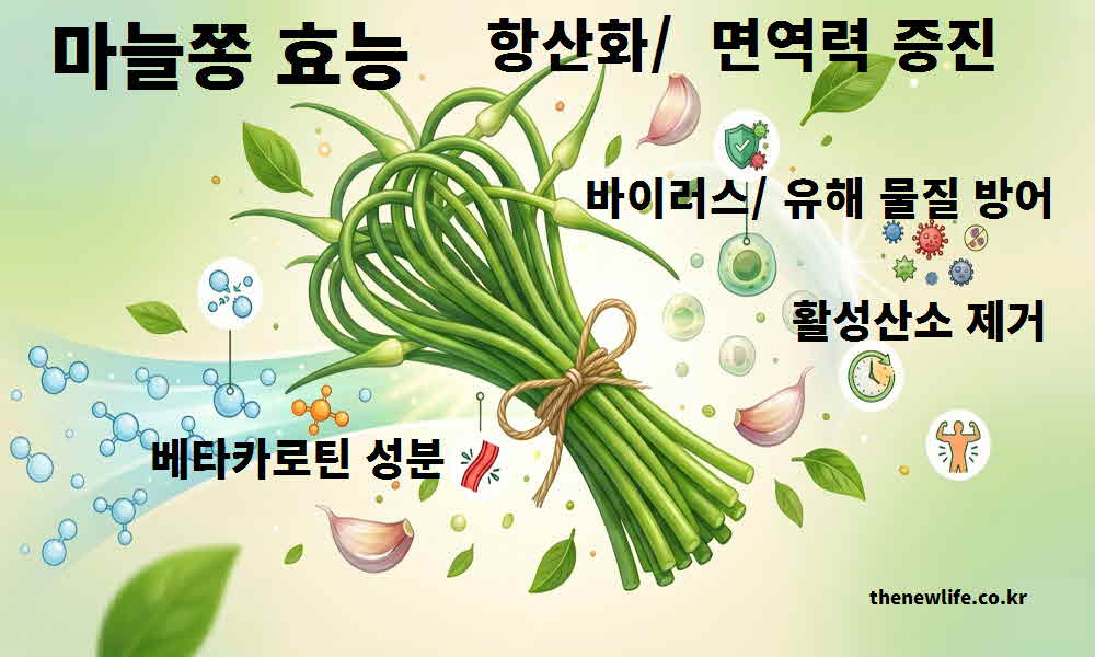 마늘쫑 효능 항산화 면역력 증진