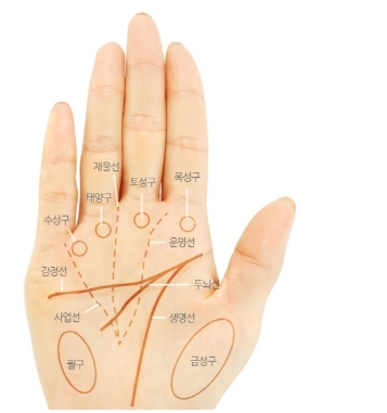 손금 보는법
