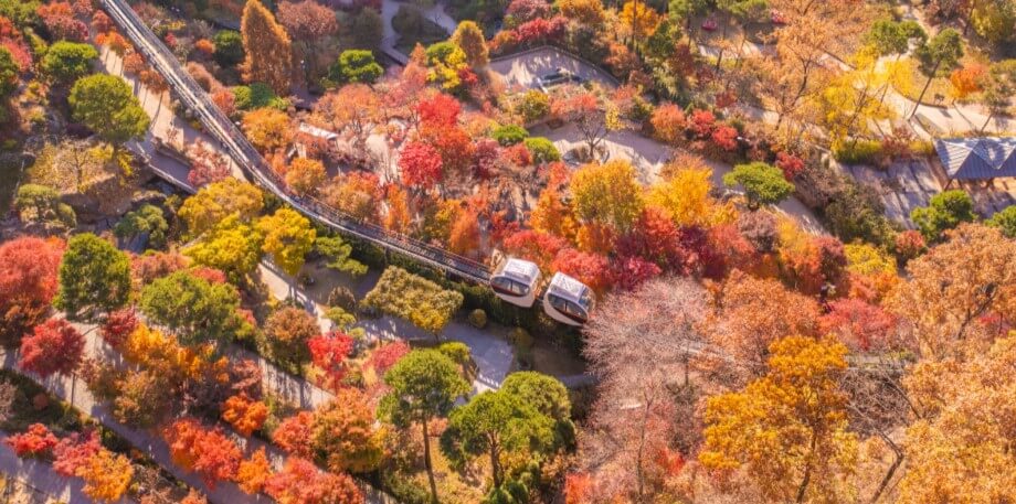 전국 가을축제 일정