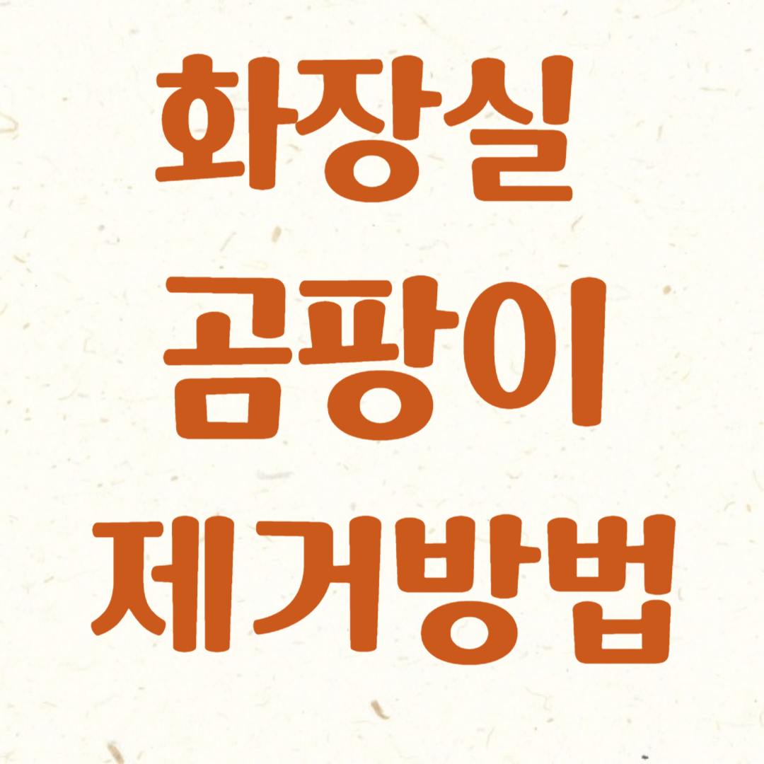 화장실 곰팡이 제거하기 (천연재료 곰팡이 제거제, 곰팡이 제거제 종류)