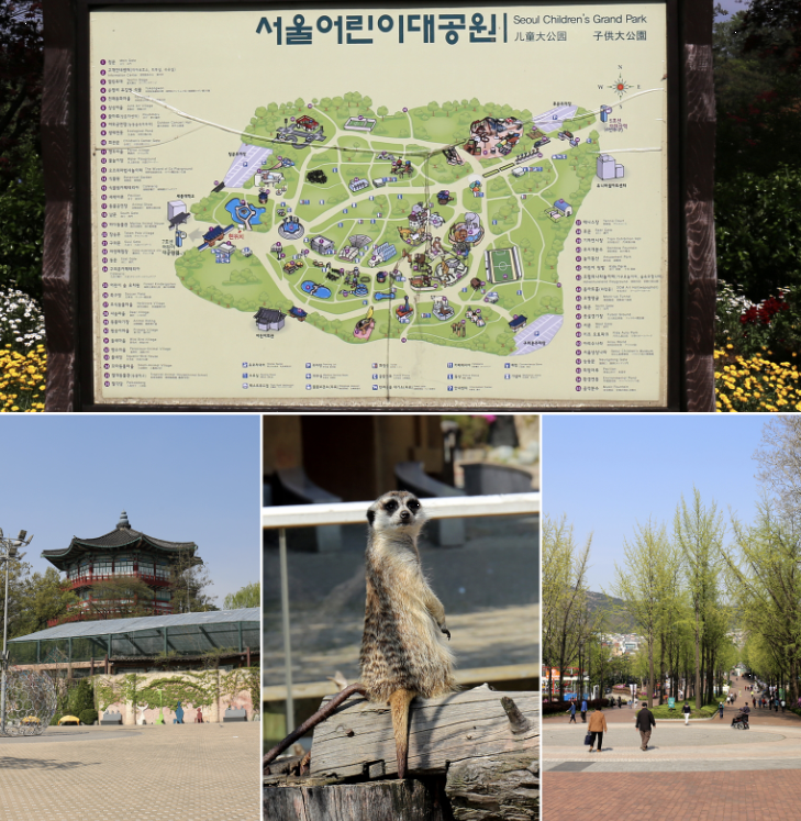 서울 어린이 대공원 이미지