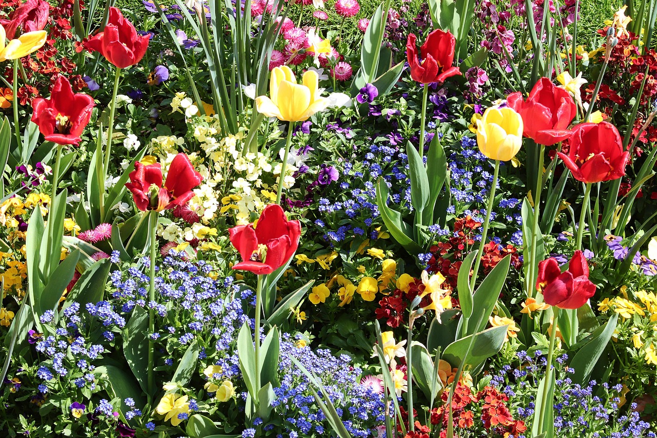 정원 디자인 관련 이미지