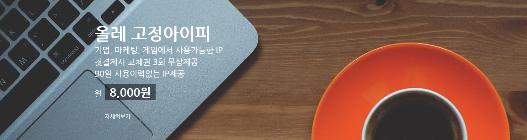 올레 고정아이피