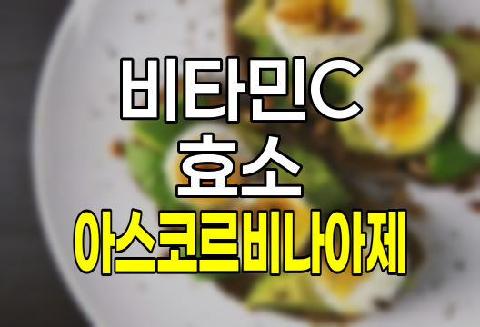 아스코르브산(비타민 C) 파괴 효소 아스코르비나아제와 음식 섭취 전략