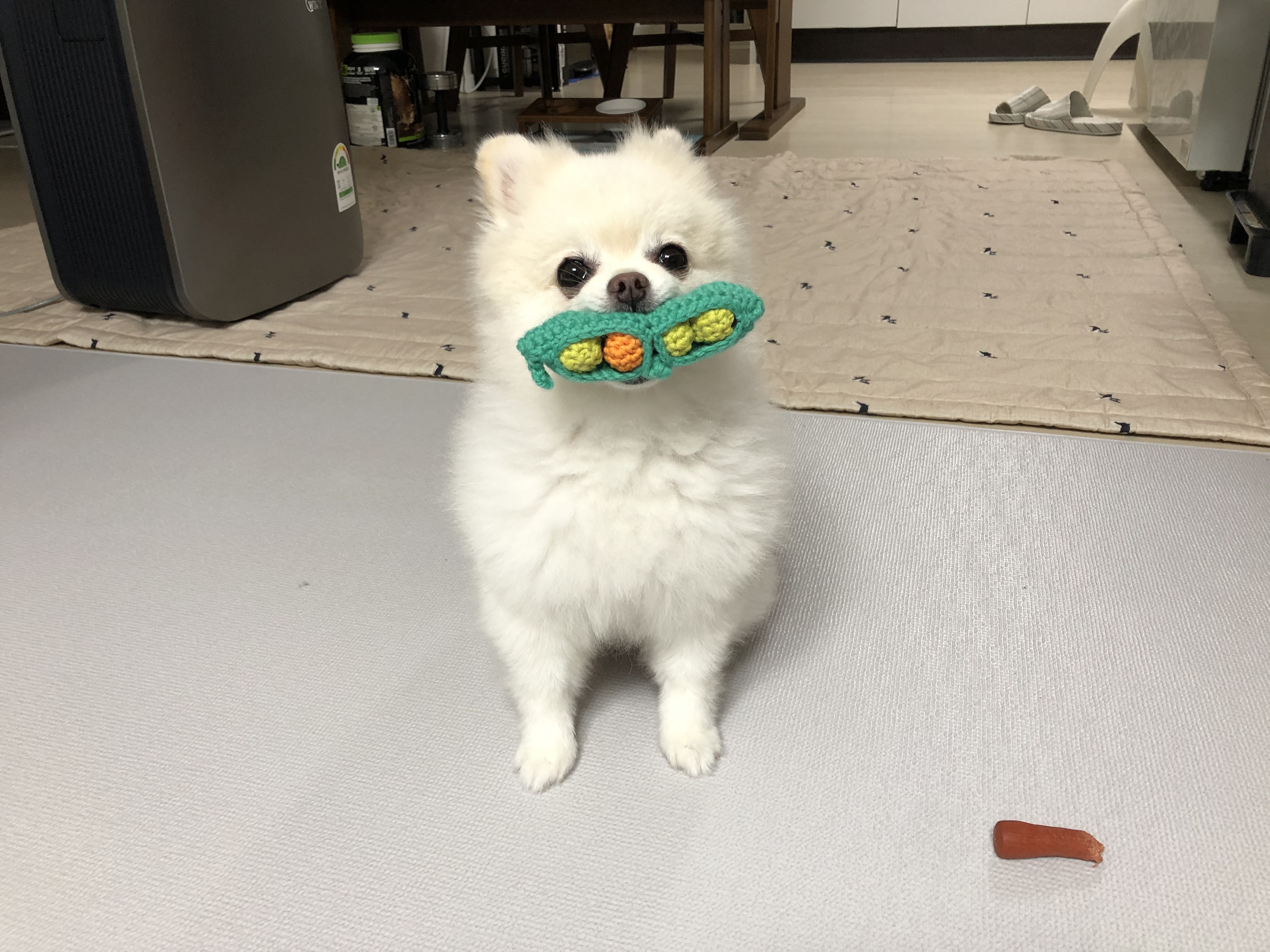 두부와 뜨개인형