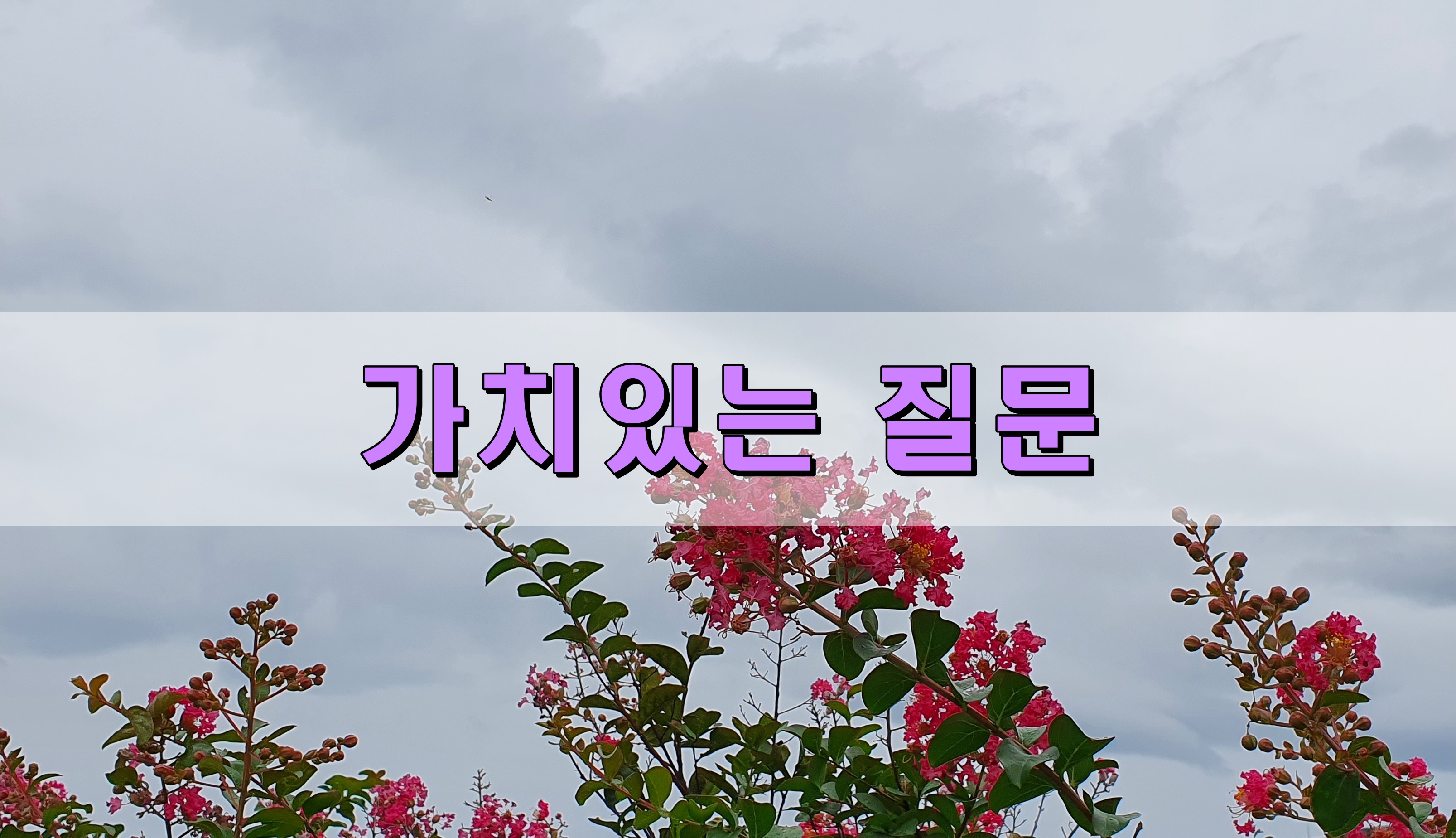 가치있는 질문